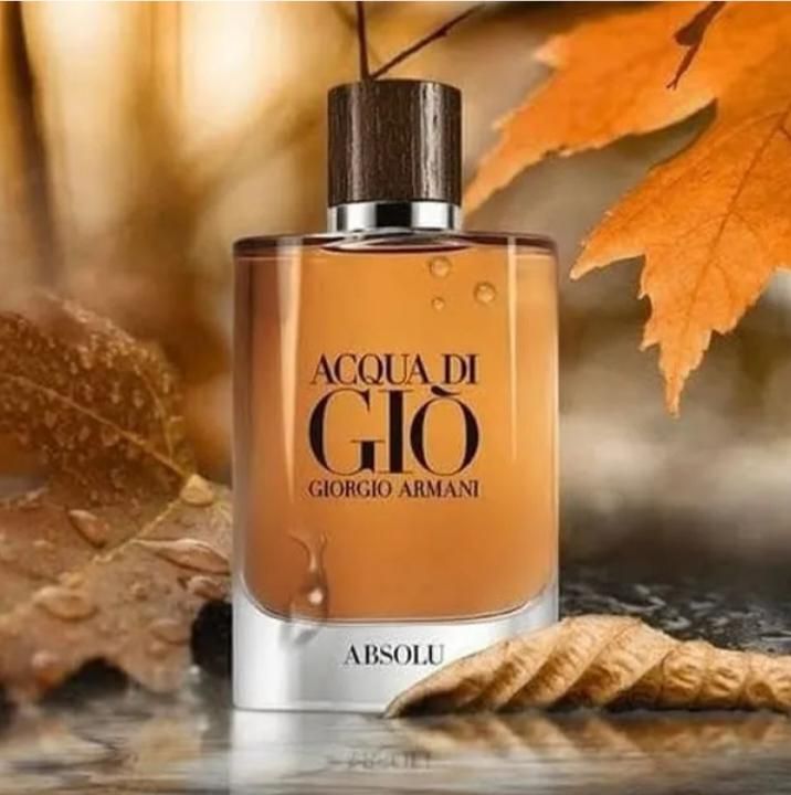 Giorgio Armani Acqua Di Gio Absolu